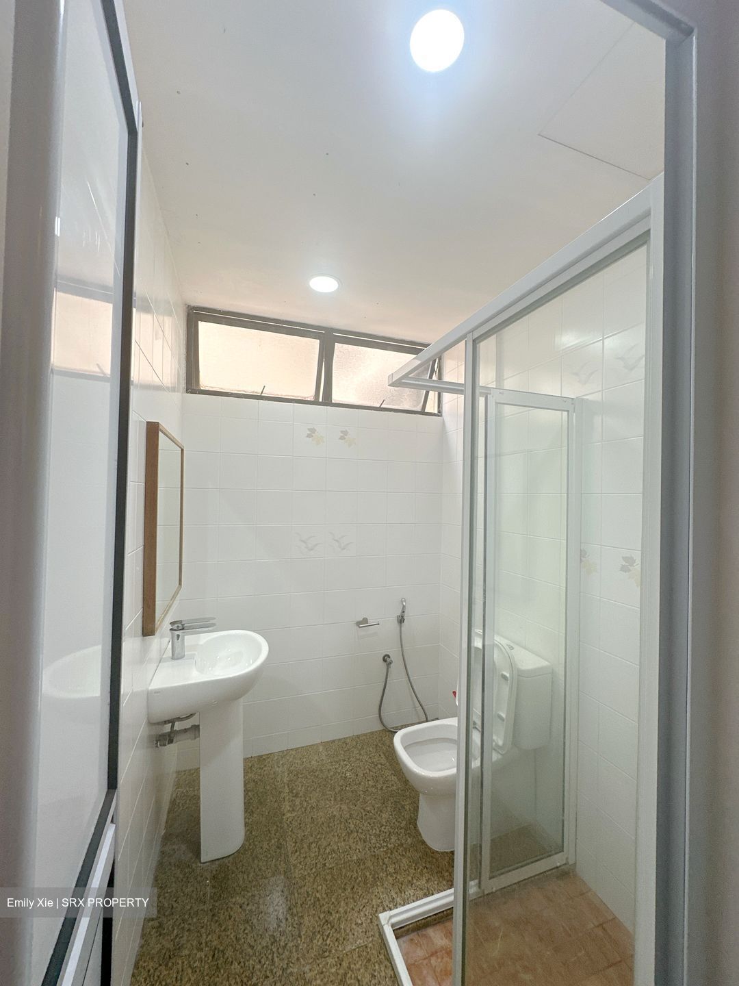 Spanish Village (D10), Condominium #539862801